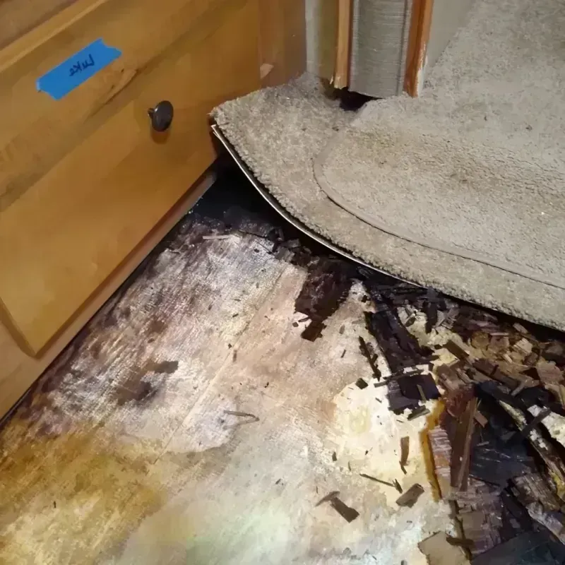 Wood Floor Water Damage in Jensen Beach, FL